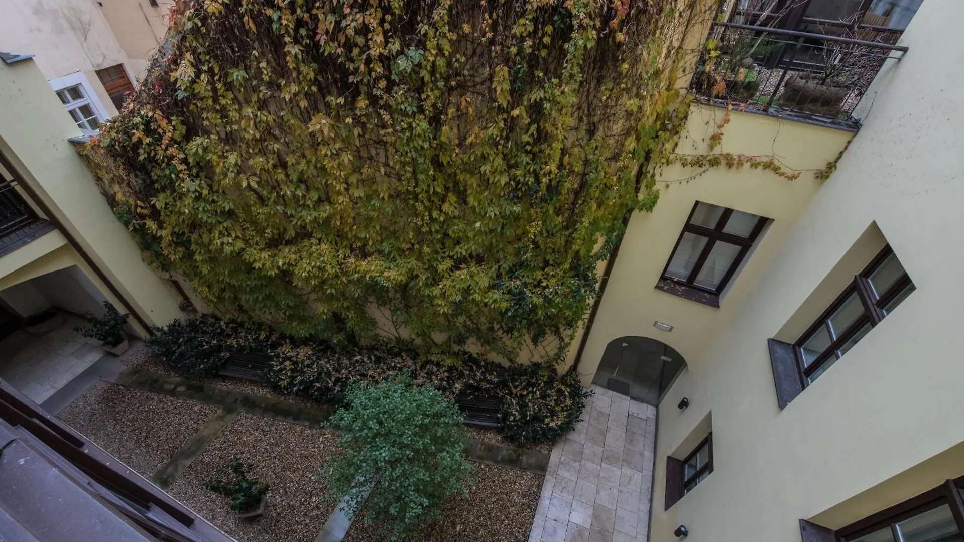 Upscale Apartment In Prime Location Near All Sights location